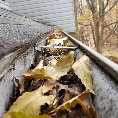 Gutter Cleaning